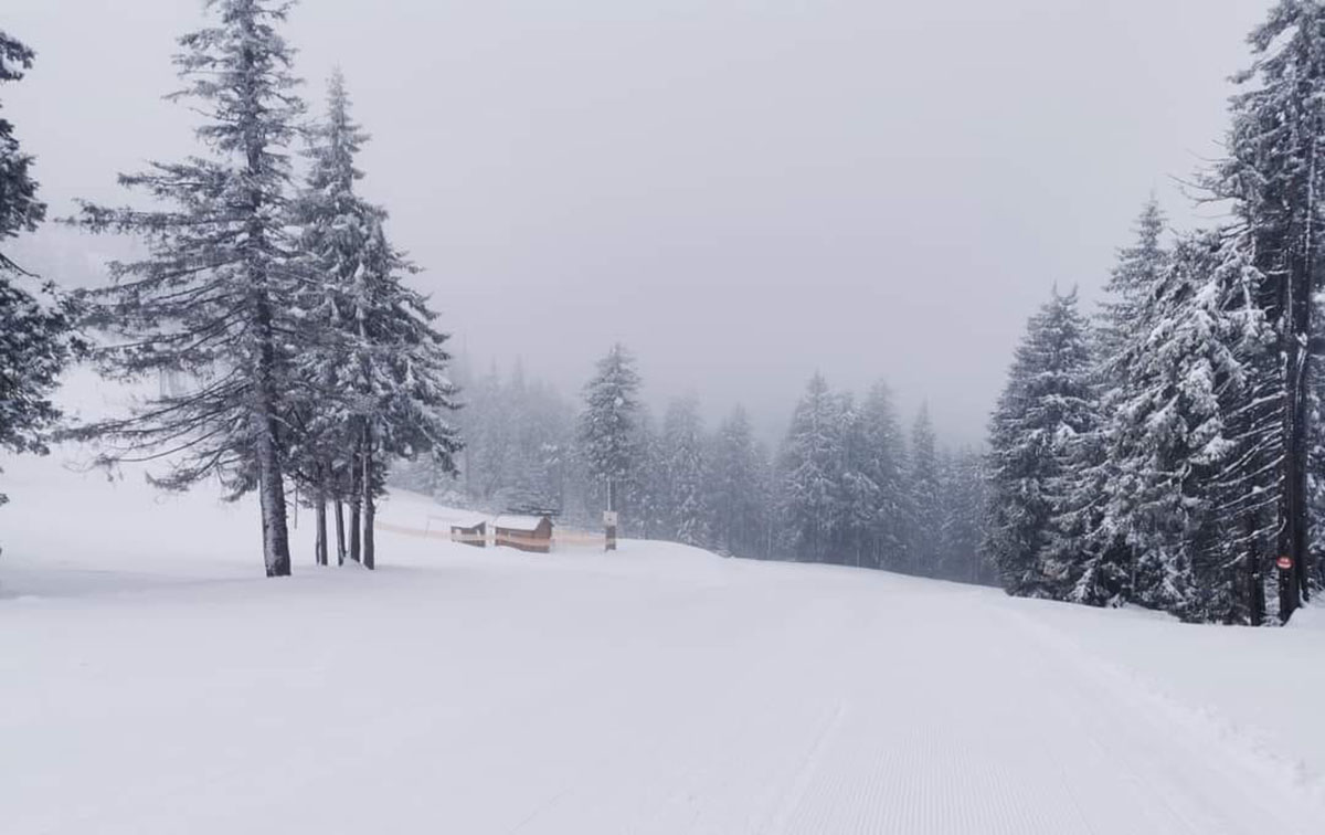 Madarasi-Hargita Síközpont